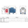 Насосная станция Pedrollo JCRm 2А/50 CL купить в интернет-магазине «Арматура» Киев Украина