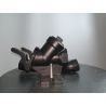 Надводна автоматична трубна муфта Grundfos Rp 2 96004442 купити в інтернет-магазині «Арматура» Київ Україна
