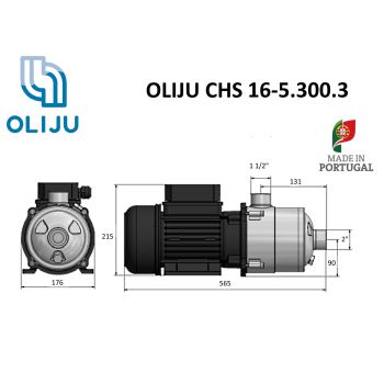 Многоступенчатый центробежный насос OLIJU CHS 16-5.300.3 купить в интернет-магазине «Арматура» Киев Украина