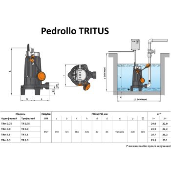 Канализационный насос Pedrollo TRITUS TRm 0.75 48SHT00A1 купить в интернет-магазине «Арматура» Киев Украина