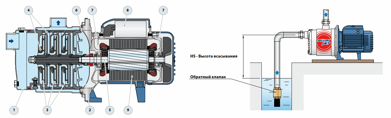 Чертеж насосов Pedrollo серии PLURIJET