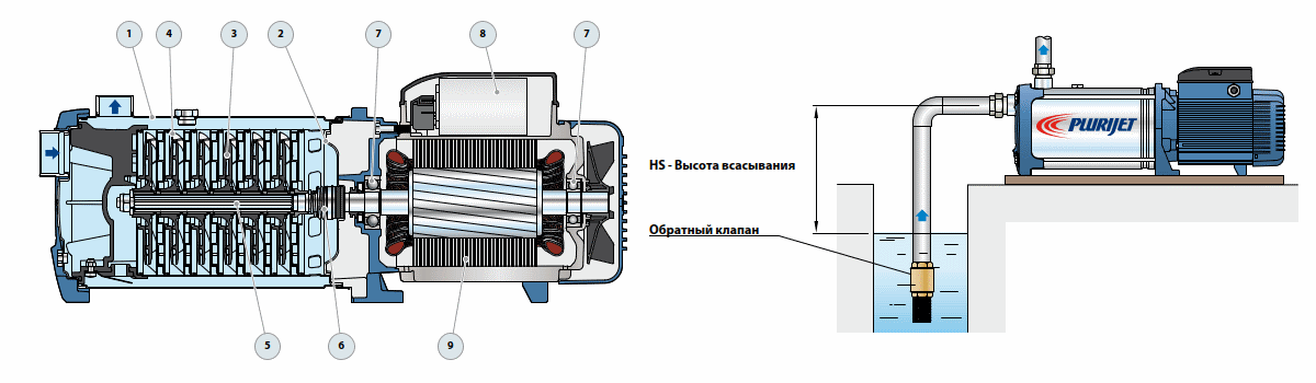 Чертеж насосов Pedrollo серии PLURIJET